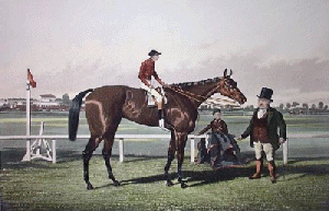 Racehorse