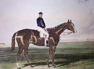 Historic Australian racing painting of a thoroughbred racehorse with jockey up