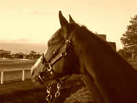 J. C. Coyle Racing