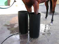 Equine Boots