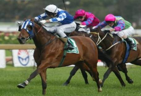 Con winning on Green Sun