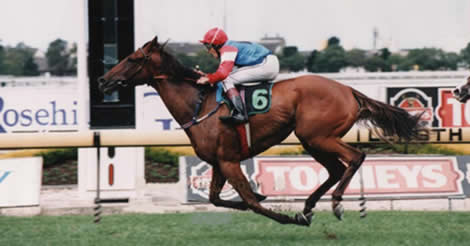 Noel Lamey Racing