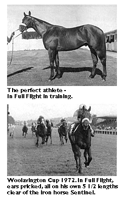 The perfect athlete In Full Flight