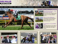 Chris Waller Racehorse Trainer