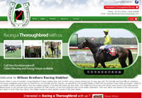 Steve Wilson Racehorse Trainer