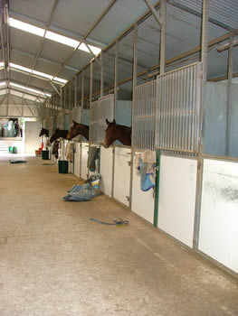 Stables
