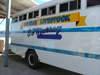 Racehorse Transport