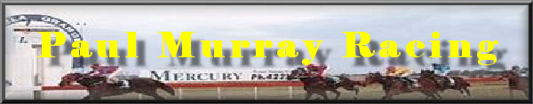 Paul Murray Racehorse Trainer