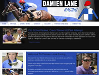Damien Lane Racehorse Trainer