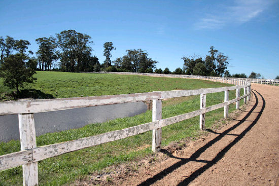 Training Track