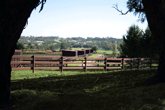 Day Yards