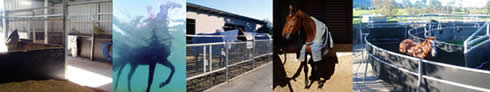 Robert Price Racehorse Training