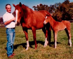 Terry Robinson