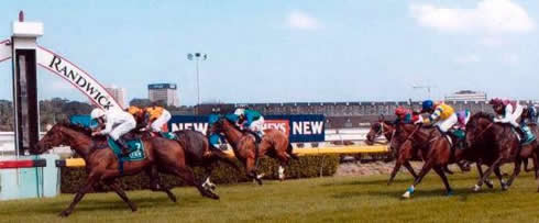 Randwick Winner O'Resonate