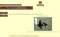 Graeme Spackman Racehorse Trainer