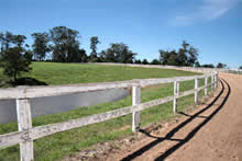 Training Track