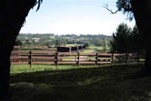 Stables
