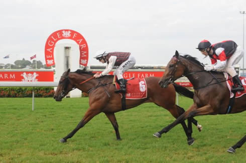 General Secretary winning in Brisbane