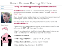 Bruce Brown Racehorse Trainer