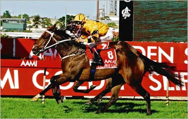 Winning with Bruce Brown Racing