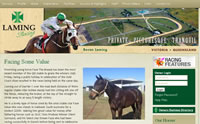 Bevan Lamming Racehorse Trainer