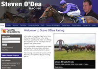 Steve Odea racehorse trainer