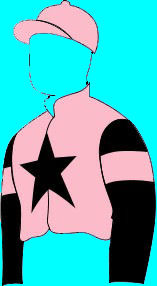 Bruce Brown Racing