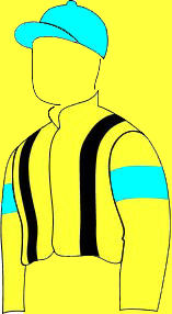 Trevor's racing colours