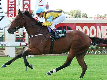 Winning With Trevor Whittington