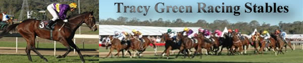 Tracy Green Racing Stables