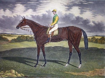 Queensland racing stable