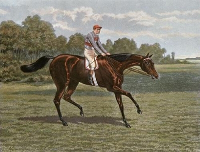 RACEHORSE