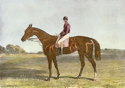 RACEHORSE