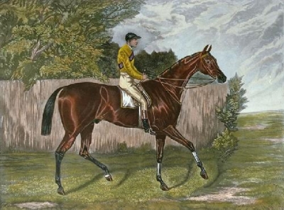 RACEHORSE