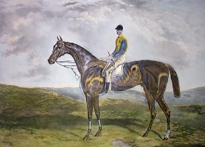 RACEHORSE