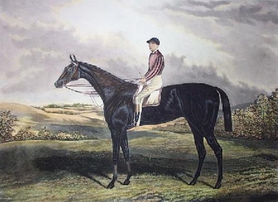 RACEHORSE