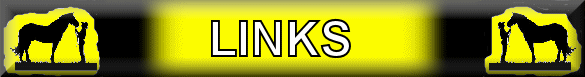 Racing Links