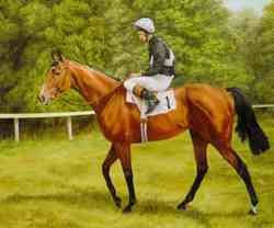 South Australian racehorse