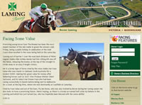 Bevan Lamming Racehorse Trainer