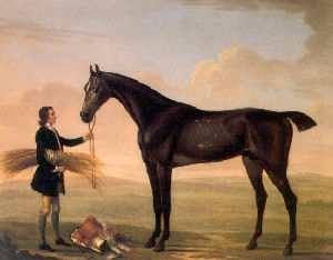 Victorian racehorse
